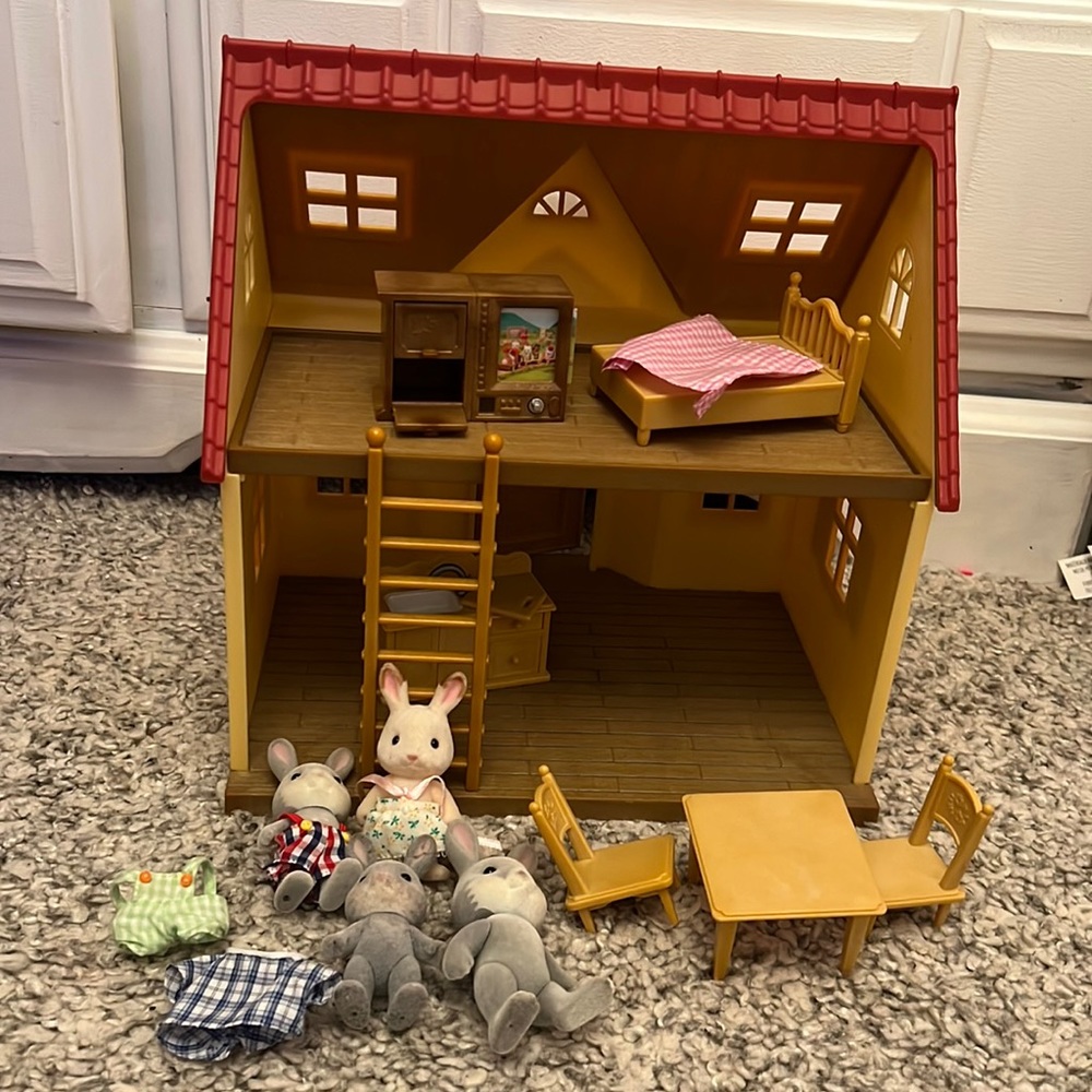 Calico house and bunnies.